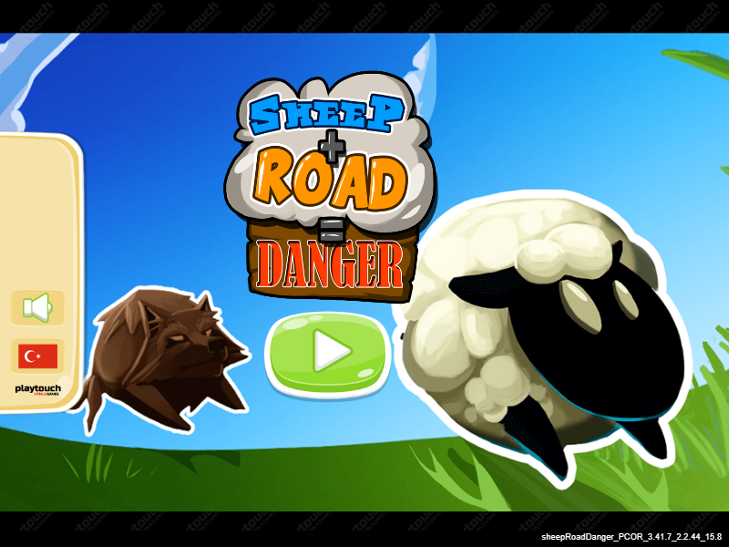 Sheep and Road